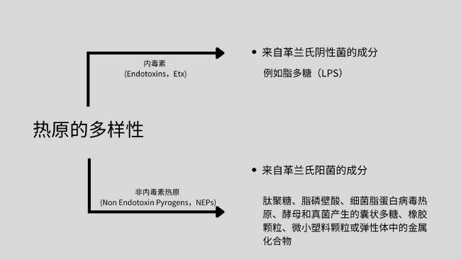 输液时莫名发热，热原这个 “隐藏杀手” 你了解吗？