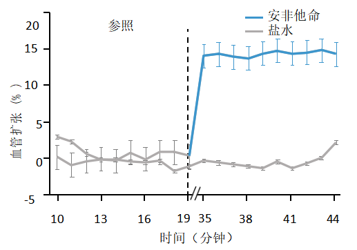 Inscopix罗丹明葡聚糖标记的血管成像1-滔博生物.png