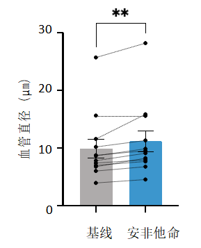 Inscopix罗丹明葡聚糖标记的血管成像2-滔博生物.png