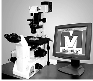 MetaVue