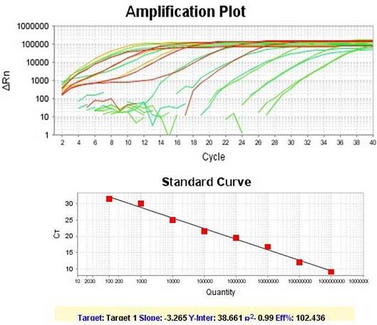 2SG Green qPCR Mixwith ROX