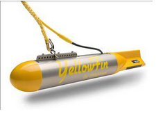 YellowFinɨ