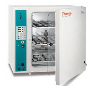 Thermo BBD6220 CO2ϸ