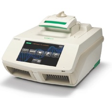 Bio-rad C1000 touch PCR