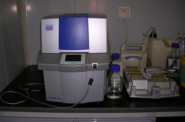 Qiagen PyroMark Q24