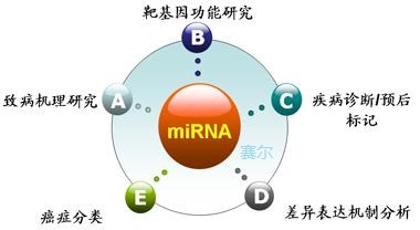 microRNA  