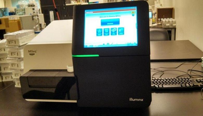 Illumina MiSeq,,Ŵ