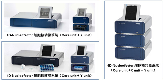 Lonza AMAXA 4Dת,ϸתȾϵͳ