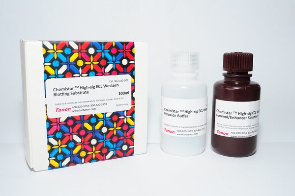 Chemistar ECL Western Blotting Substrate