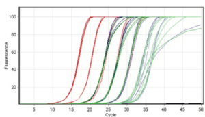 Relia™Hot-start Taq DNA Polymerase