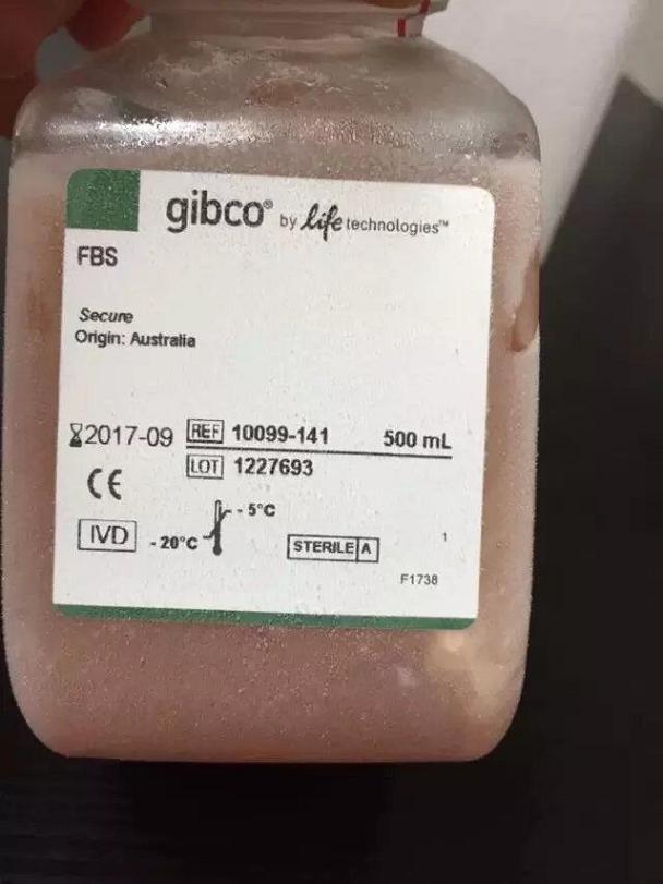 GIBCO̥ţѪ