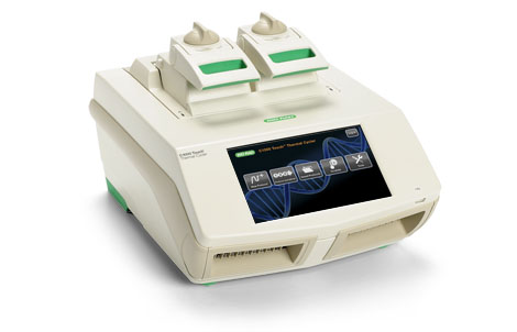 biorad C1000 PCR(ֻ)