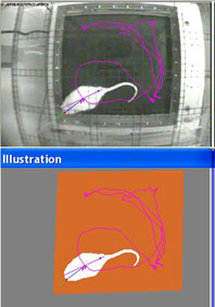 DrugeffectScan̰Ϊϵͳ