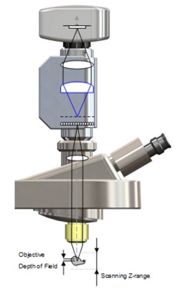 Phaseview3D΢ϵͳ Insight