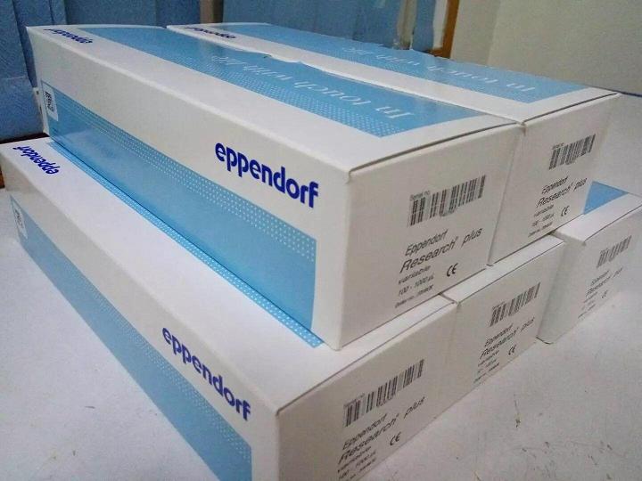 Eppendorf,¹ݴ