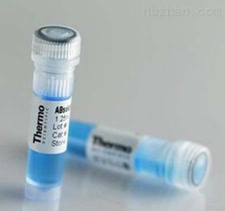 ȵأInsulin