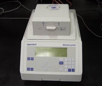 Eppendorf PCRά޵绰