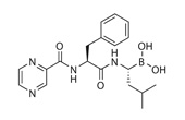 Bortezomib (PS-341)