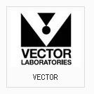 VectorƷƹݴVectorlabs