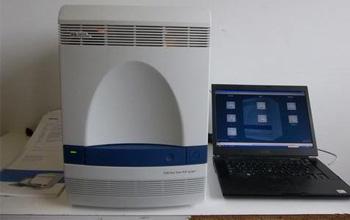 abi7500ӫⶨPCR