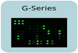 Human Cytokine Array G2000