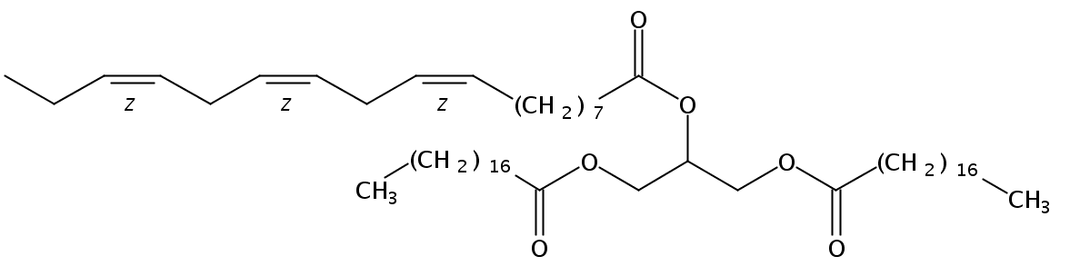 N-ǰøݳEndo-S2