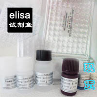 elisaִʵSS