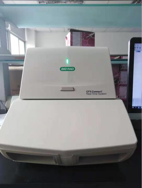 bio-radCFX ConnectӫⶨPCR