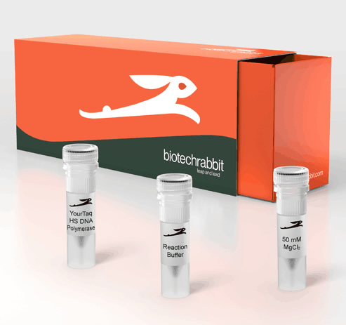 Heat Labile Uracil-DNA Glycosylase, 1 U/l