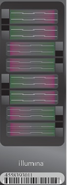 Infinium Omni Zhonghua-8