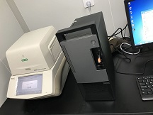 CFX96ӫⶨPCR/͹״