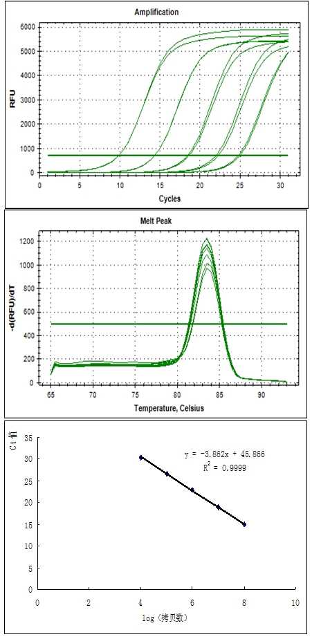 qPCR ӫⶨԼsyber green