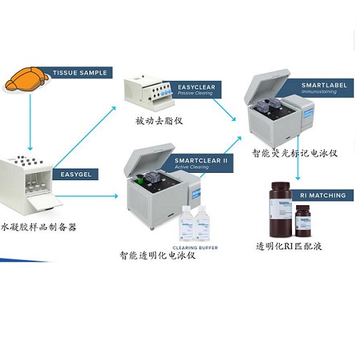 Lifecanvas Technologies֯͸ȫϵ