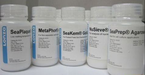 SeaKem LE® Agarose