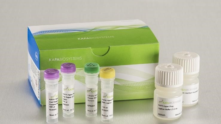 KAPA DNA HyperPrep Ŀ⹹Լ