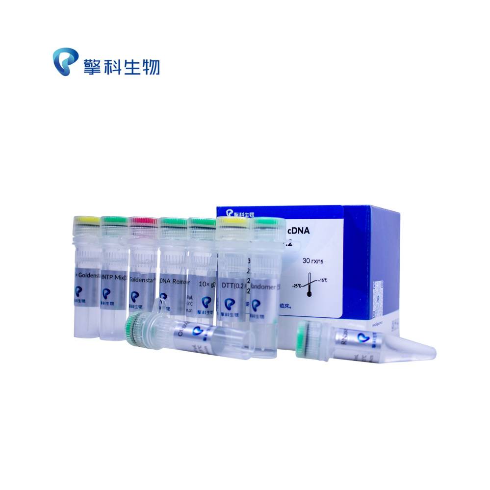 Goldenstar™ RT6 cDNA Synthesis Kit Ver2