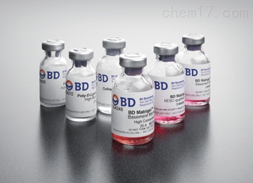 BD Biocoat Matrigel ʽ