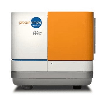 proteinsimple