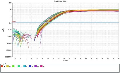 ʵʱPCR