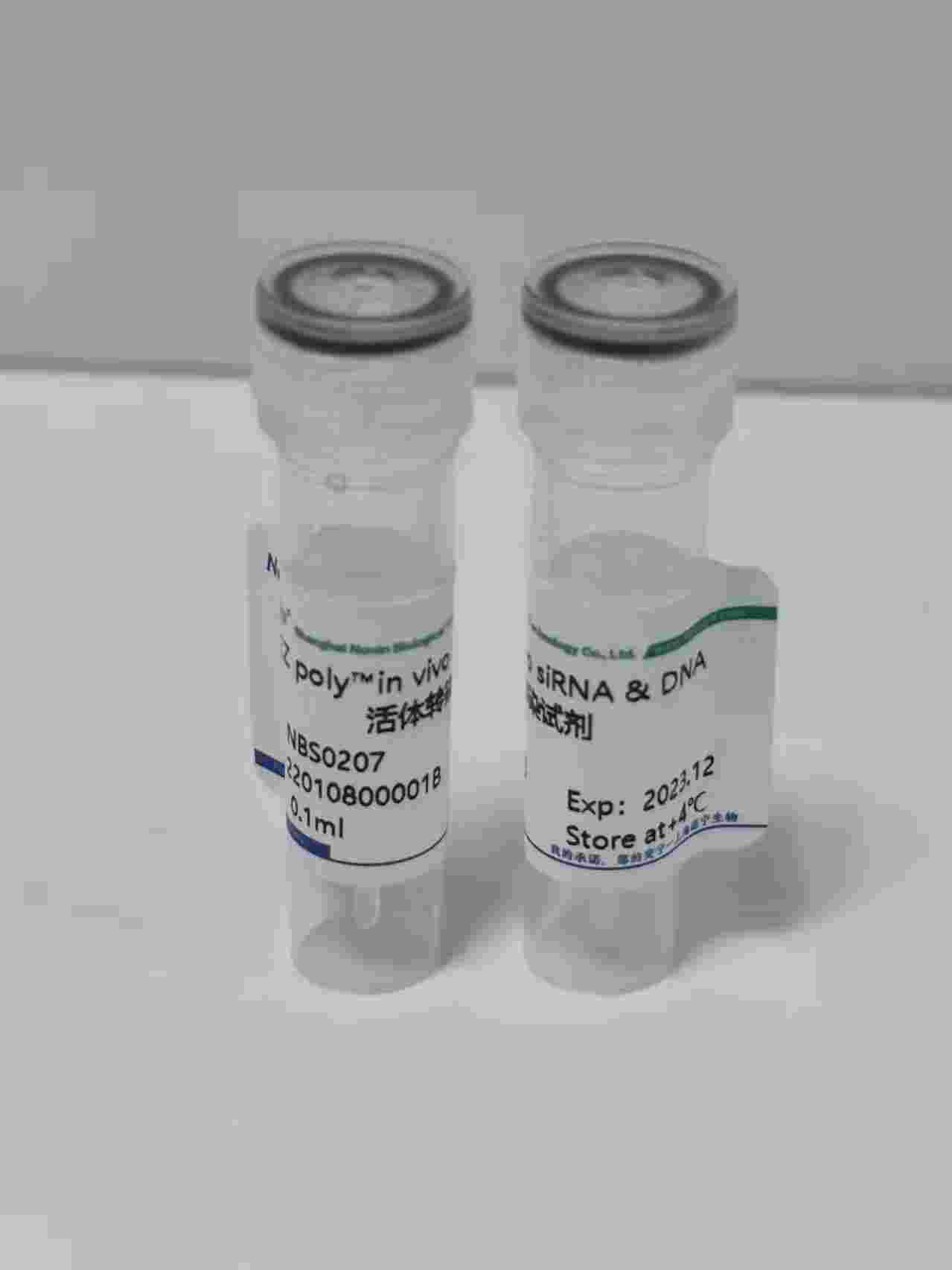 EZ poly™in vivo siRNA&DNA תȾԼ