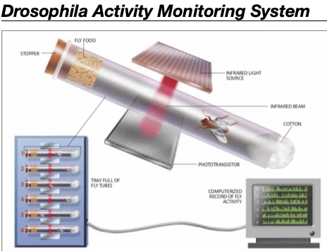 Drosophila Activity Monitorin