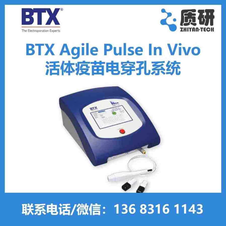 Agile Pulse In Vivo紩ϵͳ