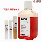 SMCMƽϸScienCell