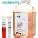 KMϸScienCell