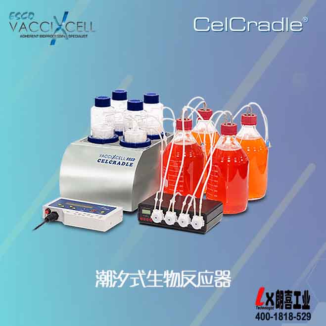 VACCIXCELLϫʽﷴӦCelCradle