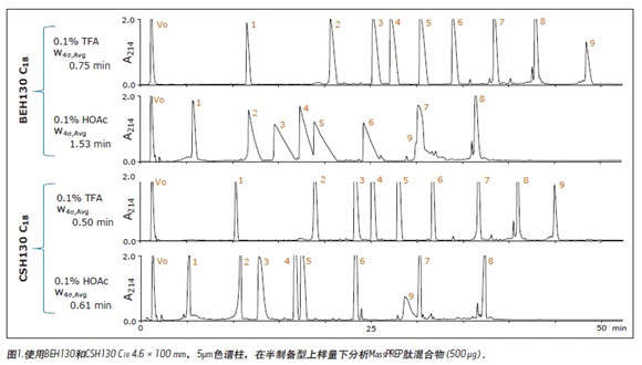 使用杂化颗粒C18色谱柱和乙酸流动相进行肽的高载量研究