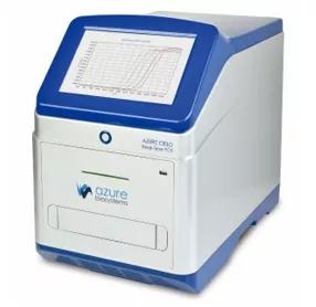 ӫⶨPCR