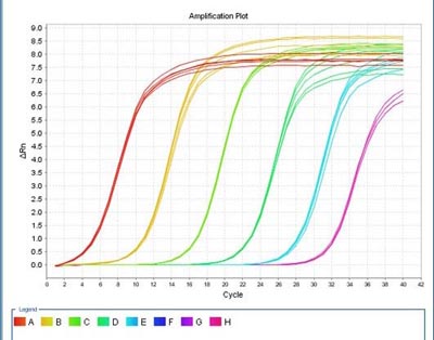 PCR