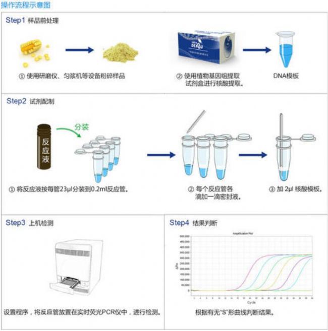 pcrʵ鲽