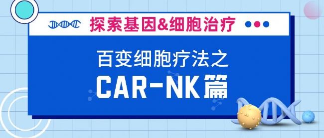 CAR-NKϸͻ